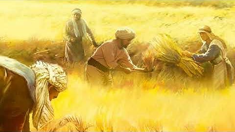 Thiên Chúa không tiêu diệt người tội lỗi - Linh mục Inhaxiô Trần Ngà