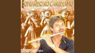 Forró de Dois Amigos