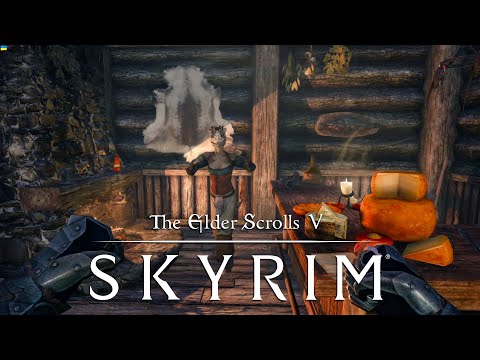 Видео: The Elder Scrolls V: Skyrim: Я СТАВ КОЛЕКТОРОМ | #10
