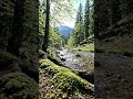 #water #waterfall #nature #sound #tree #hills #mountains #shorts #shortvideo #shortfeed #short #sun