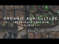 Organic agriculture internship  big island farms