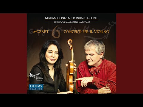 Violin Concerto No. 4 in D Major, K. 218: II. Andante cantabile