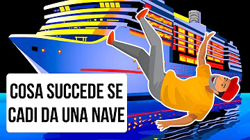 Cosa si può portare su MSC?