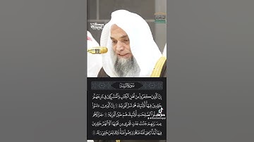 سورة البينة ٦-٨ • الشيخ فيصل غزاوي حفظه الله #فيصل_غزاوي #حفظه_الله