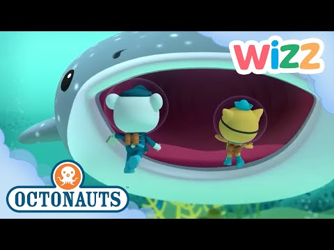 @Octonauts - Is It a Whale or a Shark? | Full Episode | Cartoons for Kids | @Wizz
