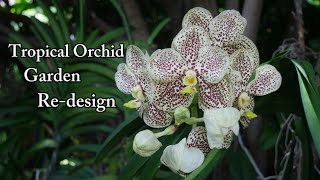Tropical Orchid Garden Re-Design | New ideas, Cattleyas & Garden Plans