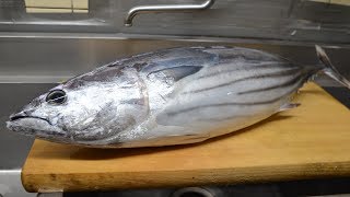 寿司職人によるカツオの仕込みから握りまで〜How To Make Skipjack tuna Sushi〜