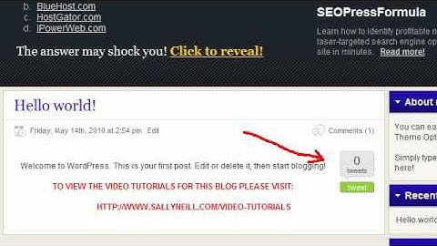 TweetMeMe Twitter Wordpress Blog Plugin Installation Video