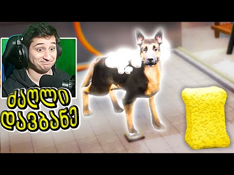 ძაღლები დავბანე | Animal Shelter Simulator