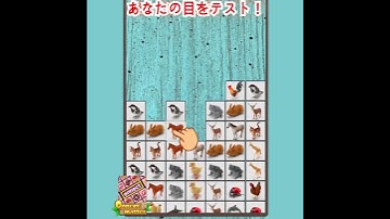 Pair Matching Puzzle Game-Onnect Master-L21.2-Japanese-1:1