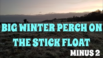 STICK FLOAT FISHING FOR BIG PERCH AND ROACH IN ICE COLD CONDITIONS