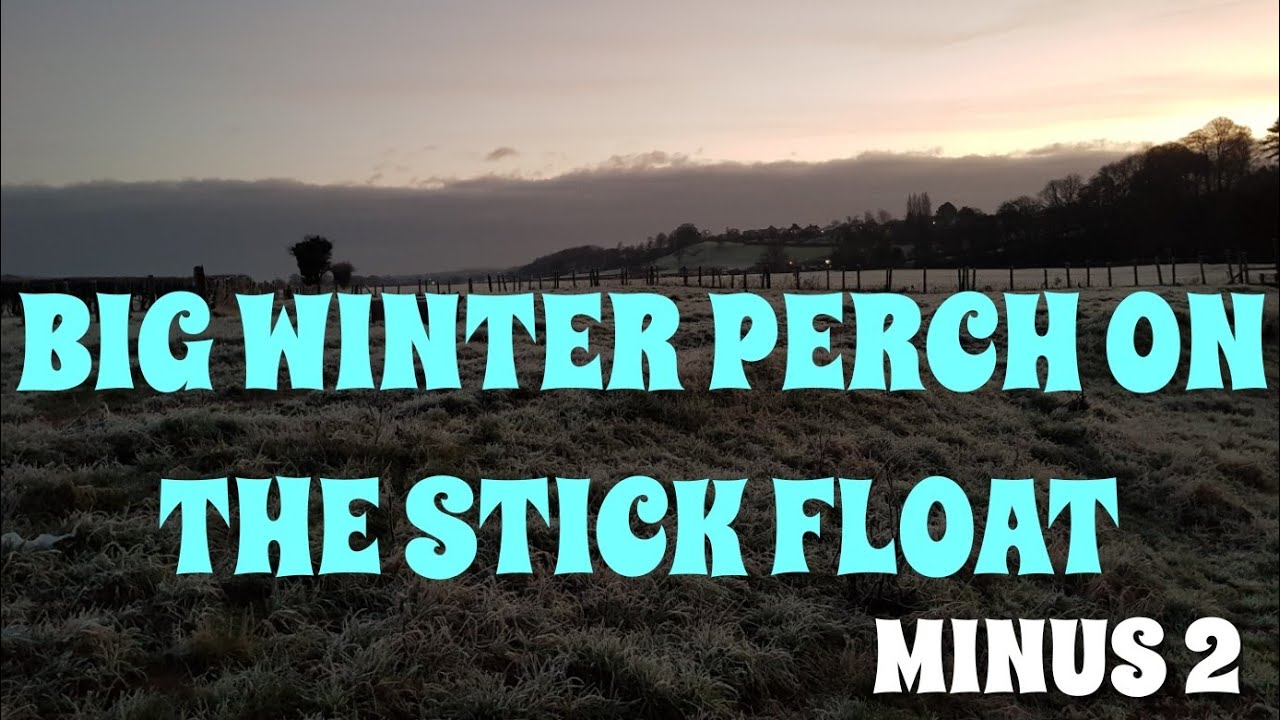 STICK FLOAT FISHING FOR BIG PERCH AND ROACH IN ICE COLD CONDITIONS