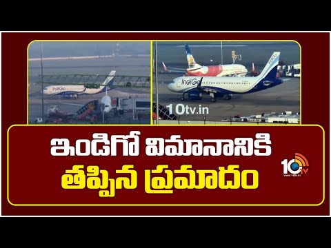 Bird Hits Indigo Flight from Delhi to Mumbai | ఇండిగో విమానాన్ని ఢీకొన్న పక్షి.. తప్పిన ప్రమాదం - 10TVNEWSTELUGU