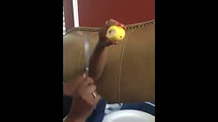 Mom Gives Sex Ed "Talk" with a Lemon