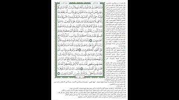 الصفحة٤١ من المصحف الشريف برواية حفص عن عاصم القارئ د.بريك سعد بريك- إجازة التجويد من الأزهر الشريف
