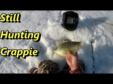 Still Hunting Crappie… 