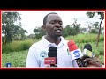 MAJARIBIO MBOLEA MPYA YA PAMBA INAWEZA KUZALISHA KILO 1 500 HEKARI 1 MAJARIBIO MBOLEA MPYA YA PAMBA INAWEZA KUZALISHA KILO 1 500 HEKARI 1