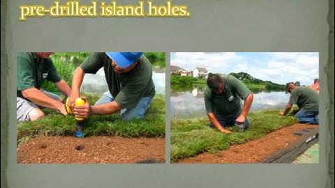 How to Easily Construct a Floating Island