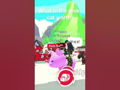 What is pink cat worth for - YouTube
