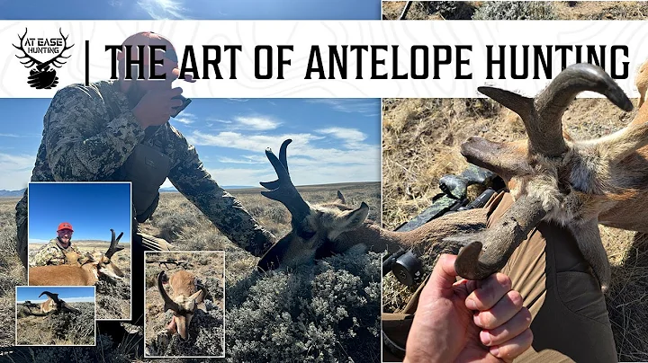 An Epic Pronghorn Antelope Hunt In Wyoming. What to Expect. With At Ease Hunting and Outdoors Int.