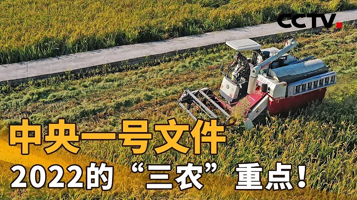 中央一号文件，2022的“三农”重点！| CCTV“新闻1+1”20220223 - 天天要闻