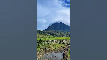 Beautiful Landscape Beautiful Salawat Egzonibrahimi Nature Salawat Travel Alam Desa 