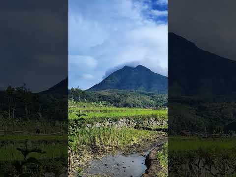 Beautiful Landscape Beautiful Salawat Egzonibrahimi Nature Salawat Travel Alam Desa