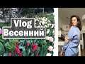 Vlog: Телезвезда, Покупки в Русском Магазине и Просто Весна