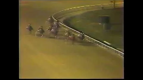 1983 Sportsman's Park RAMBLING WILLIE Bob Farrington
