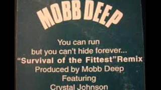 Mobb Deep Survival Of The Fittest Remix Instrumentals (*RARE*)