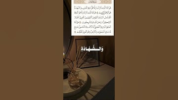 اواخر سورة الحشر القارئ محمد المنشاوي#اكسبلور #المصحف #القرآن_الكريم