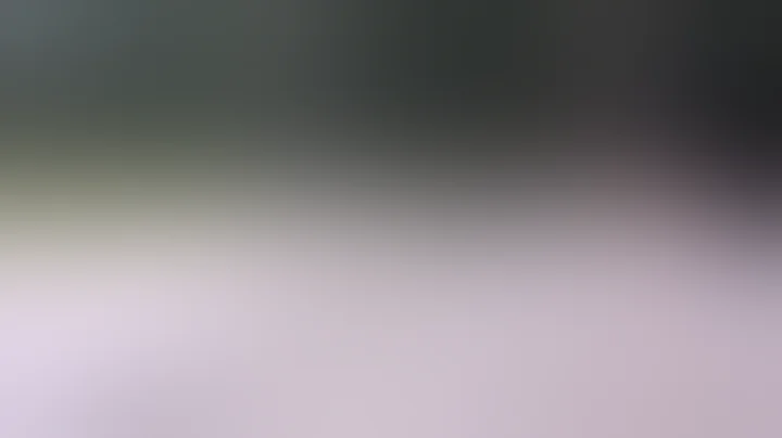 DSA RPD Carbine Suppressed