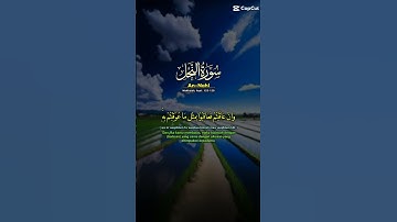 ما تيسر من سورة النحل والشيخ خالد الجليل #اكسبلور #لايك #ومشاركة #ودعوة #اكسبلورر