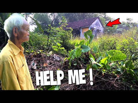 Forest of Weeds Takes Over 99-Year-Old's Home | Inspiring Cleanup Effort