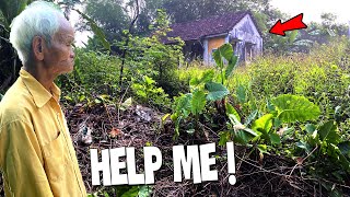 Forest of Weeds Takes Over 99-Year-Old's Home | Inspiring Cleanup Effort