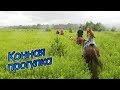 Прогулка на лошадях | Конный клуб «Аллюр»