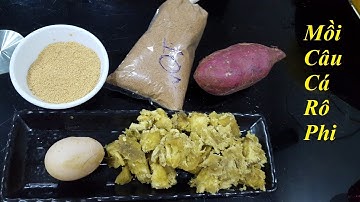 Công thức làm mồi câu cá rô phi cực nhậy