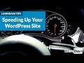 Tips for Optimizing WordPress for Speed