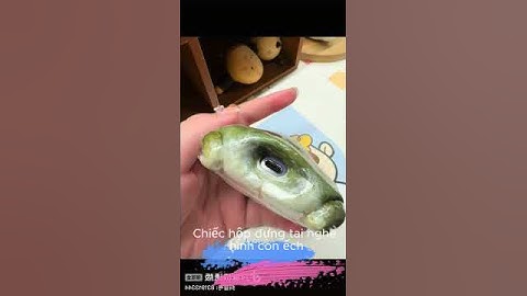 Chiếc hộp đựng tai nghe hình con ếch