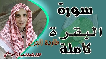 سورة البقرة كاملة(طاردة الجن) || جودة عالية