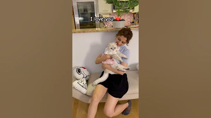 Watch the video about Remembered Something 🙈 #kikicutekitty #iloveyou #love #remember #relatable #scottishfold #fypage