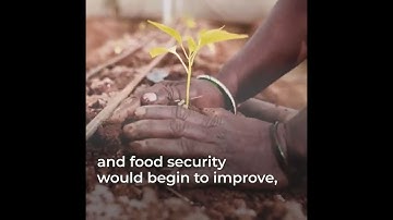 State of Food Security and Nutrition in the World 2022