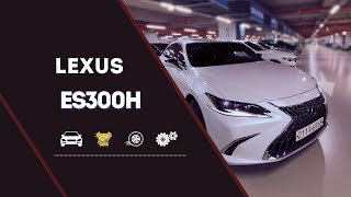видео: Так выглядит почти новый Lexus 2024 за отличные деньги картинка: Так выглядит почти новый Lexus 2024 за отличные деньги