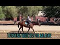 3 Posting Exercises for Rider Balance