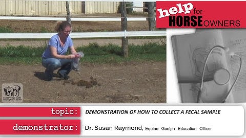 Fecal Collection Demonstration - Dr Susan Raymond
