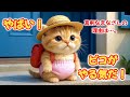 【AI猫ピコ】ピコ、ついにやったね！ちいさな努力の大きな一歩！