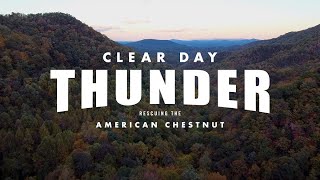 Clear Day Thunder: Rescuing the American Chestnut  Official Trailer