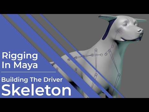 #RiggingInMaya | Part 20 | Advanced | Driver Skeleton