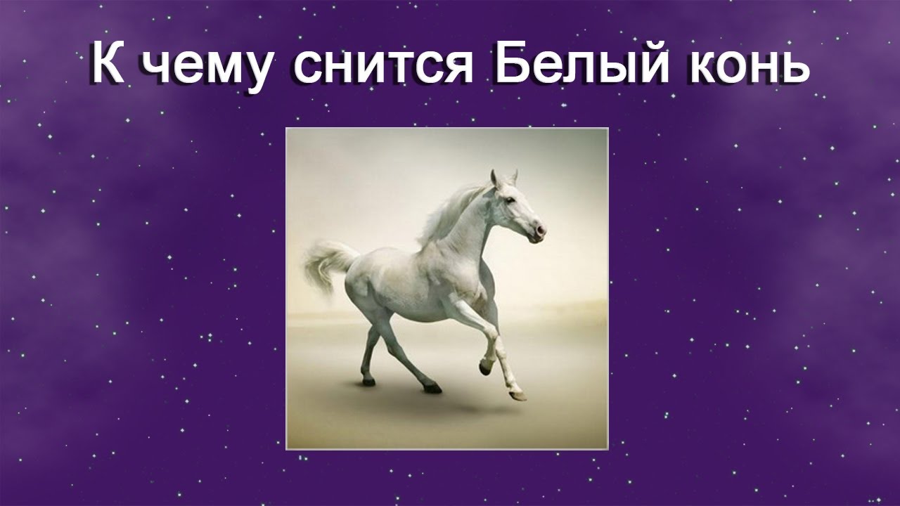 Толкование снов к чему снятся лошади. К чему снится конь. Лошадь во сне к чему снится. Сонник приснилась белоснежная лошадь. Сонник-толкование кони или лошади.