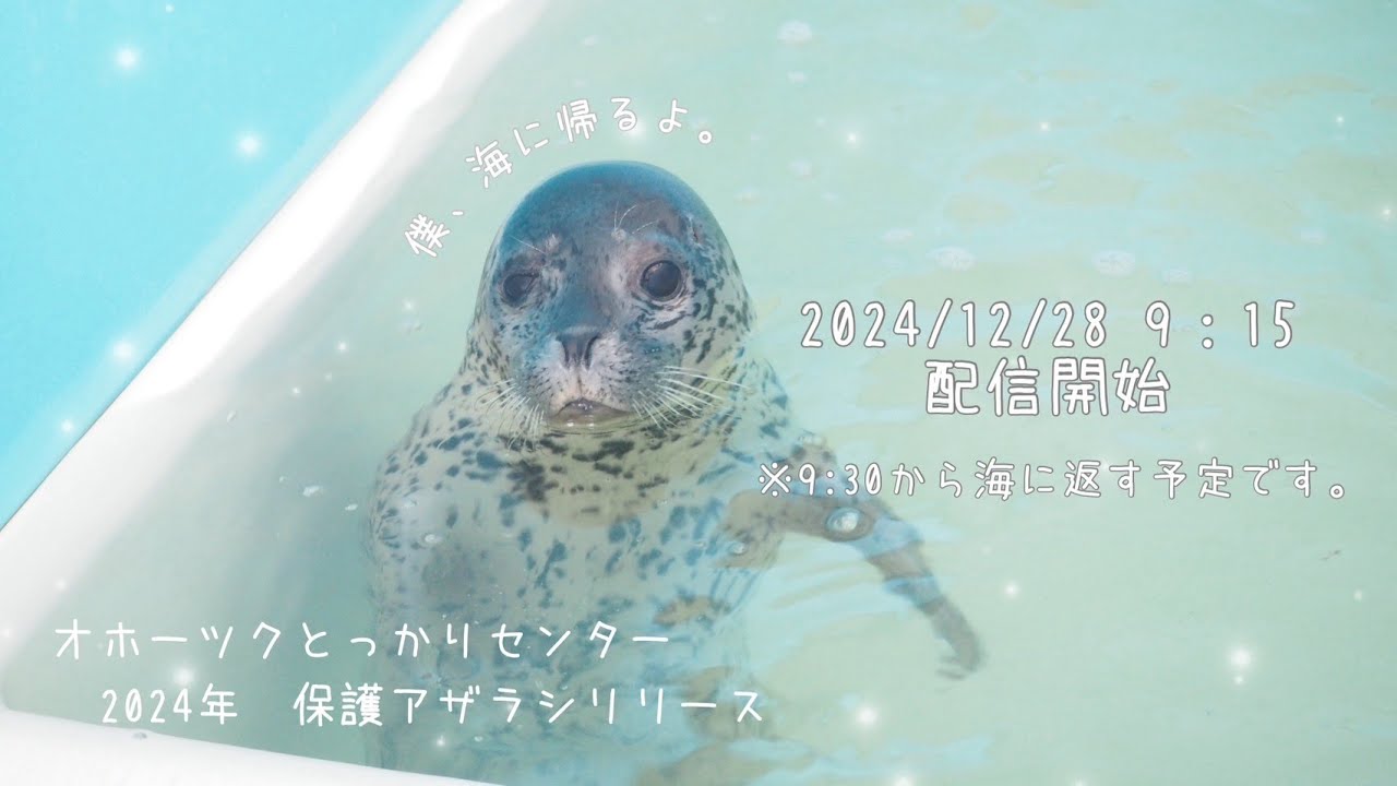 相似象学会誌4号　サラダ 相似象学会誌4号 サラダ様専用 - メルカリ